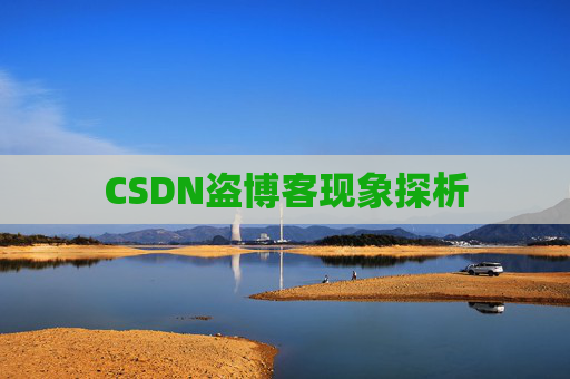 CSDN盗博客现象探析